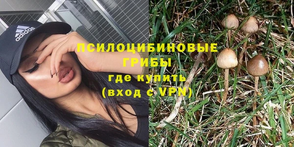 spice Гусь-Хрустальный