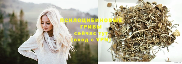 jwh Горняк