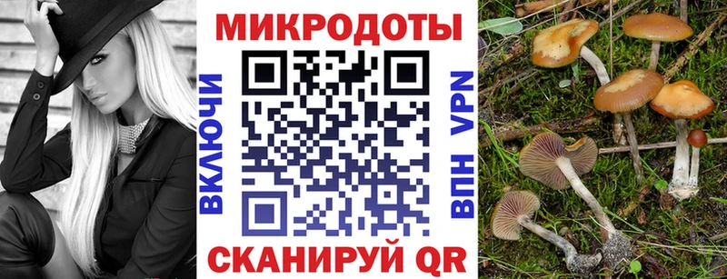 Купить  Знаменск  Галлюциногенные грибы Psilocybe 
